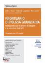 immagine di Prontuario di Polizia giudiziaria