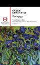 CUSINATO GUIDO, Periagoge teoria della singolarit e filosofia ..