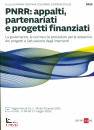 immagine di PNRR: Appalti, Partenariati e Progetti Finanziati