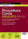 SIMONE, Codice di procedura civile esplicato