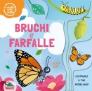 immagine di Bruchi e farfalle il ciclo della vita