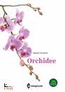 immagine di Orchidee