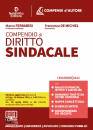 immagine di Compendio di diritto sindacale Con espansione ....