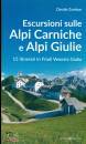 immagine di Escursioni sulle Alpi Carniche e Alpi Giulia