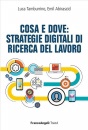 immagine di Cosa e dove: strategie digitali di ricerca lavoro
