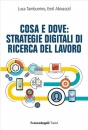 TAMBURRINO ABIRASCID, Cosa e dove: strategie digitali di ricerca lavoro