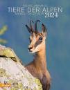 immagine di Tiere der Alpen 2024 . Calendario Animali Alpi