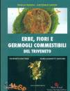 immagine di Erbe fiori e germogli commestibili del triveneto