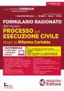 immagine di Formulario ragionato del nuovo processo esecuzione