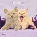 immagine di Calendario da muro 30x30 cm funny cats 2024