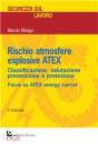 immagine di Rischio atmosfere esplosive ATEX