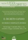 PACINI GIURIDICA, Decreto Caivano Sicurezza e criminalit minorile