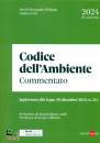 immagine di Codice dell