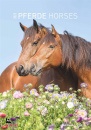ALPHA EDITION, Calendario da muro 23x34 cm horses 2025