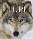 immagine libro