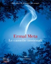 ERMAL META, Le camelie invernali