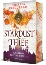 immagine di The stardust thief Il ladro di polvere di stelle