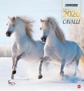 immagine di Cavalli. Calendario 2026
