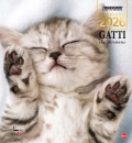 GOODMAN BOOK, Gatti che dormono. Calendario 2026. magnum