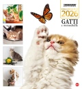 immagine libro