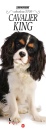 GOODMAN BOOK, Cavalier king. calendario 2026.