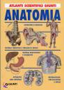 GIUNTI, Anatomia umana