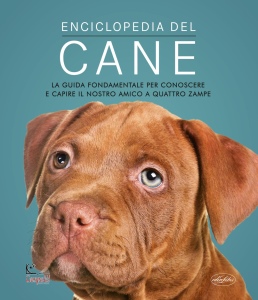 Ingrandisci immagine