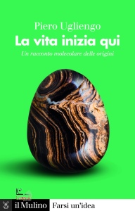 Ingrandisci immagine