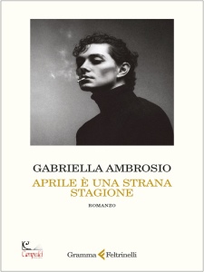 Ingrandisci immagine