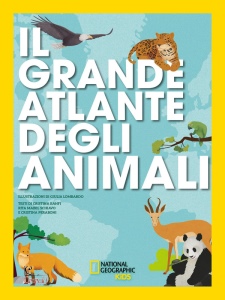 Ingrandisci immagine