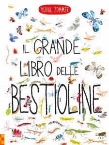 Ingrandisci immagine
