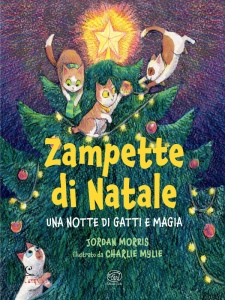 Ingrandisci immagine