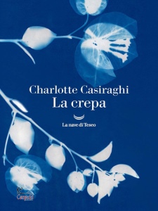 Ingrandisci immagine