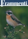 RIVISTA, Frammenti n.14