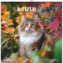 ALPHA EDITION, Calendario 2026  Katzen Cats - Calendar 2026