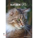 ALPHA EDITION, Calendario 2026  Katzen Cats