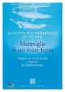 NOTARBARTOLO DI S., Meraviglie di un mare ferito Viaggio di un ecologo